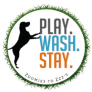 Play Wash Stay