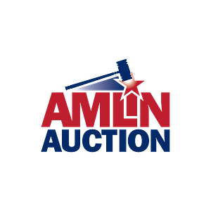 Amlin Auction - Logo
