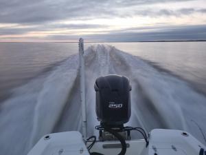 Mr Poches Fishing Charters - Logo