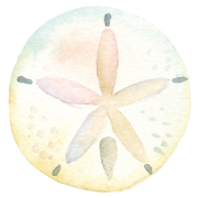 Amy Weiler Photography - Logo