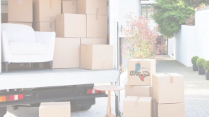 TX Pro Movers - Logo