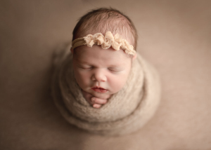 Bonny Lynn Photography - Logo