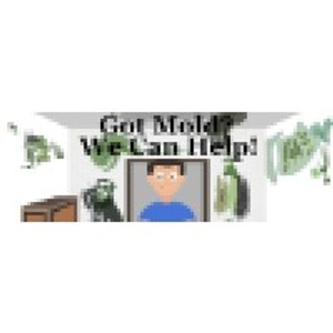Mold Inspection & Testing Charlotte - Logo