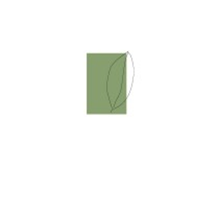 David Rolston Landscape Architects - Landscape architect in Dallas