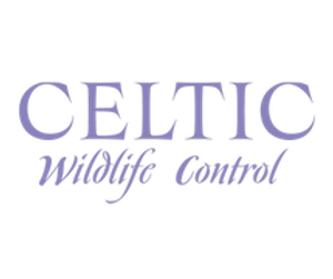 Celtic Wildlife Control - Logo