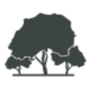 J C Tree Services