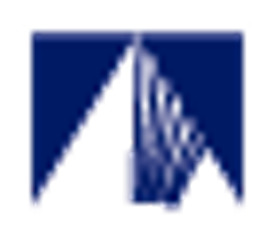 Allan Real Estate Investments - Logo