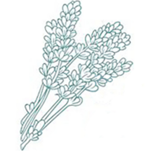 Cariad at North Brook - Logo