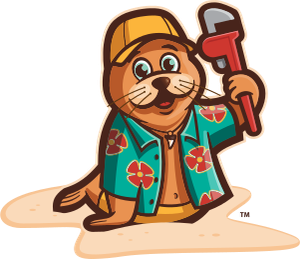 Beach Plumbing - Logo