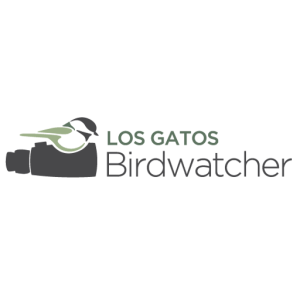 Los Gatos Birdwatcher
