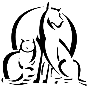 Austin Veterinary Diagnostic Hospital - Logo
