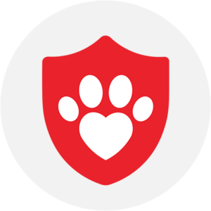 AV Veterinary Center