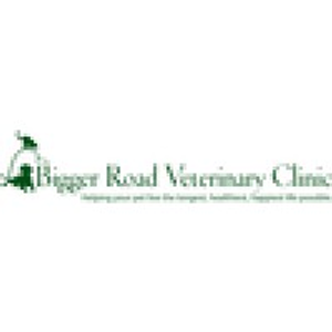 Bigger Road Veterinary Center - Logo