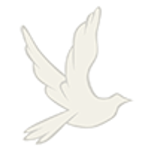 Simkins Funeral Home