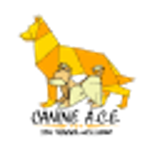 Canine ACE - PLAY Centre