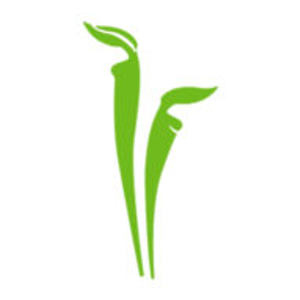 Lilium Floral Designs LLC - Logo