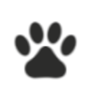 Dr. Lynn Sattesahn - Logo