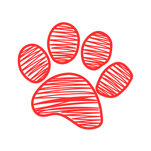 Dallas Animal Chiropractic