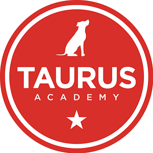 Taurus Academy: Bark & Zoom - Logo