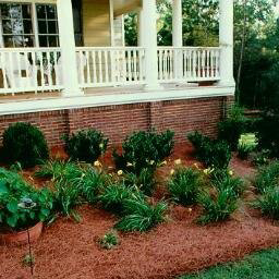 Today's Pine Straw - Mulch supplier in Marietta