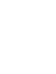 Stabilized Chiropractic