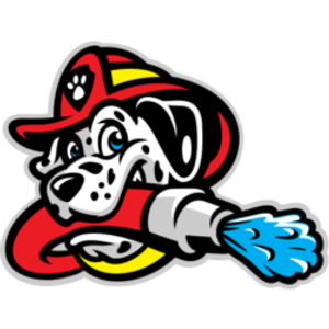 Dirty Dog's Car Wash Kennesaw - Logo