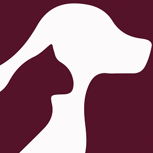 Torrington Animal Hospital - Logo