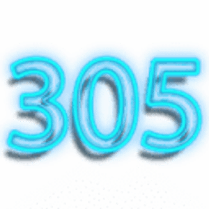 305 Cleaning - Logo