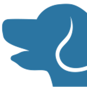 North Austin Animal Hospital - Logo