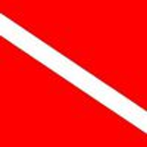 Diver Dan's - Logo