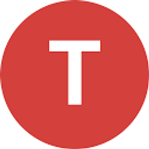Texas Perfect Auto - Logo