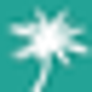 Waves Auto Spa - Logo