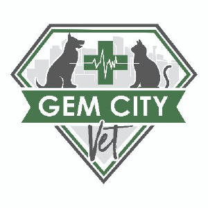 Gem City Vet - Logo