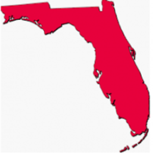 Southern Image Gutters, Inc. - Logo