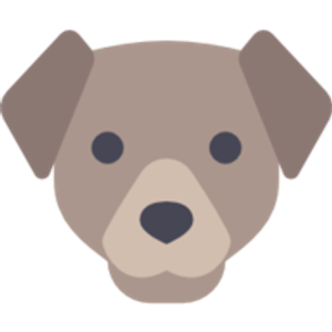 Austin Pet Sitting Services