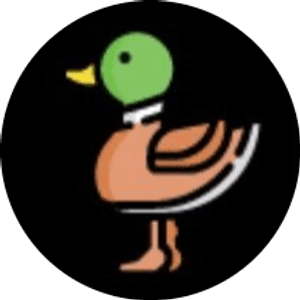 Ducks Duct Cleaning - Logo