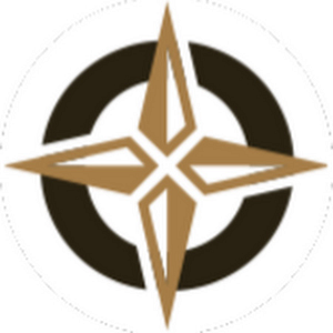 Forson Drone Company - Logo