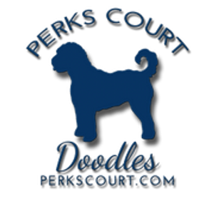 Perks Court Doodles - Logo