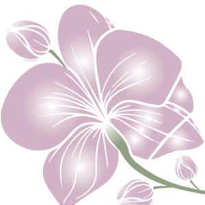 Renew Esthetics