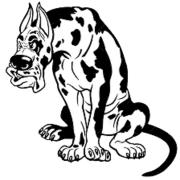 Bad Dog Flooring - Logo