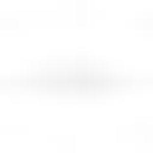 EMAPhotography - Logo