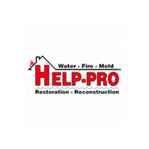 HelpPro1 - Logo