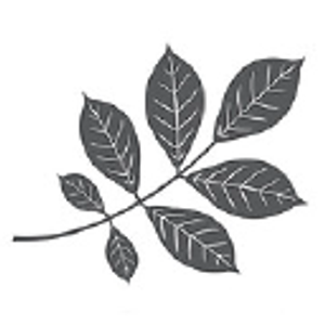 S.E. Hall Furniture & Design - Logo