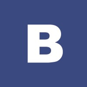 BelFlex Staffing Network - Logo