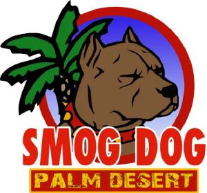 Smog Dog Palm Desert