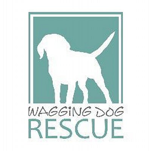 Wagging Dog Rescue - Logo