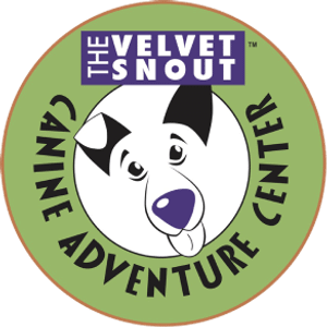 The Velvet Snout - Logo