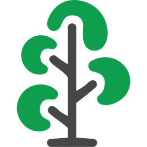 Clarity Family Therapy Services - Logo