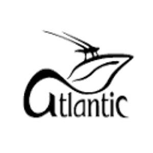 Atlantic Boat & Jet Ski Rentals