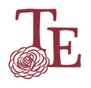 Transformed Events - Logo